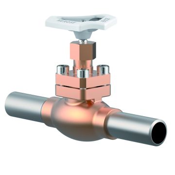 Typ 01301 - Durchgangsventil