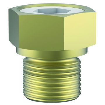 Typ 06900 - Berstscheibe Messing