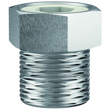 Typ 06901 - Berstscheibe Edelstahl