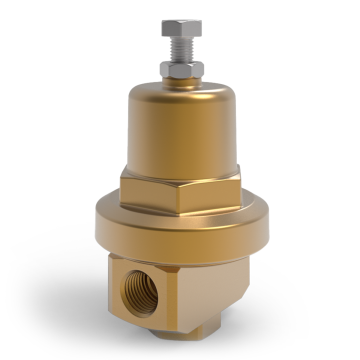 CRM - Cryogenic Regulator, Mini (Pressure Reducing) CRM - Cryogenic Regulator, Mini (Pressure Reducing)