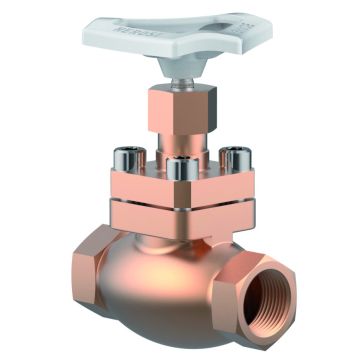 Type 01305 - Globe Valve