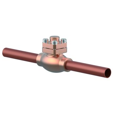 Type 05412 - Check Valve